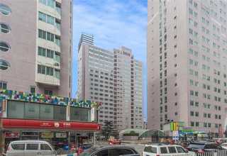 海南平板塑料网带规格尺寸