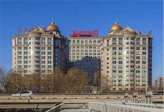 真空泵叶片厂家直销价