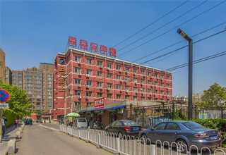 济宁养护园林绿化设计